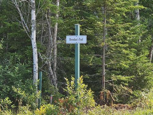 Lot 52 Fundy Lane, Two Islands, NS 