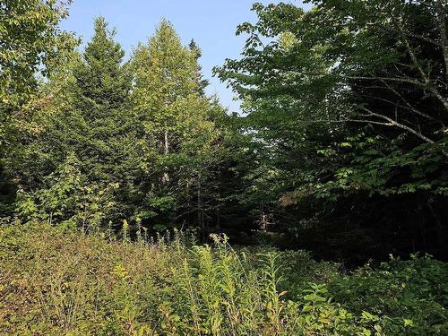 Lot 52 Fundy Lane, Two Islands, NS 