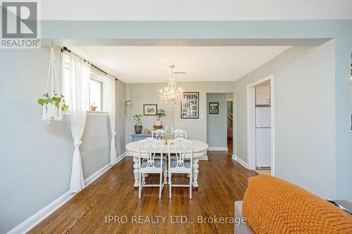 34 Elizabeth Street S, Brampton (Downtown Brampton), ON - Indoor Photo Showing Dining Room