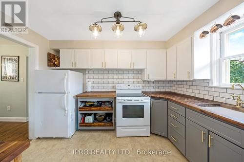 34 Elizabeth Street S, Brampton (Downtown Brampton), ON - Indoor Photo Showing Kitchen