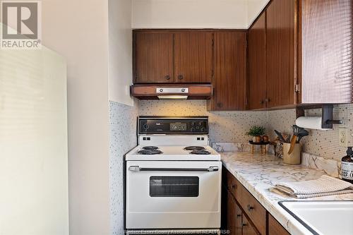 1075 Frank Avenue, Windsor, ON - Indoor Photo Showing Kitchen