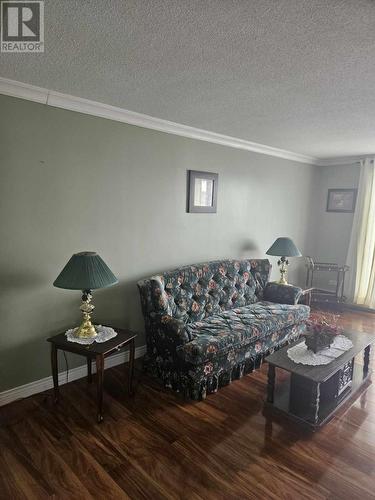 54 Main Road, Fogo Island(Deep Bay), NL - Indoor Photo Showing Living Room