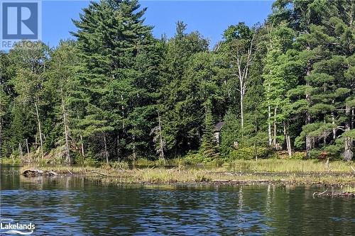 Cabin by the water - 1322 Britannia Road, Huntsville, ON - Outdoor With Body Of Water With View