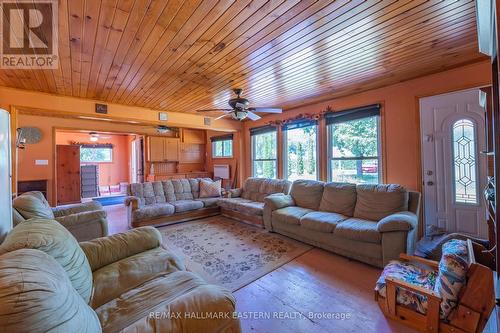 19 Eldonia Road, Kawartha Lakes (Kirkfield), ON - Indoor Photo Showing Living Room