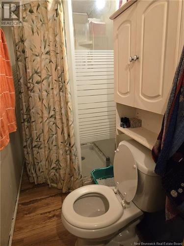 234 Britain Street, Saint John, NB - Indoor Photo Showing Bathroom