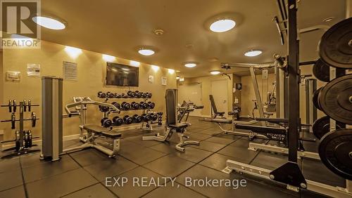 1206 - 225 Webb Drive, Mississauga (City Centre), ON - Indoor Photo Showing Gym Room