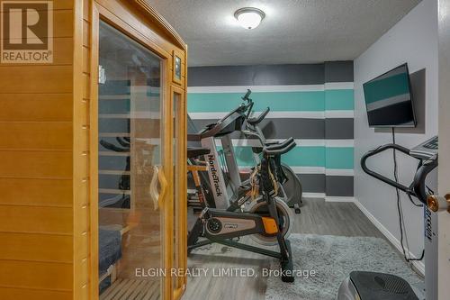 38949 Talbot Line, Southwold (Talbotville), ON - Indoor Photo Showing Gym Room