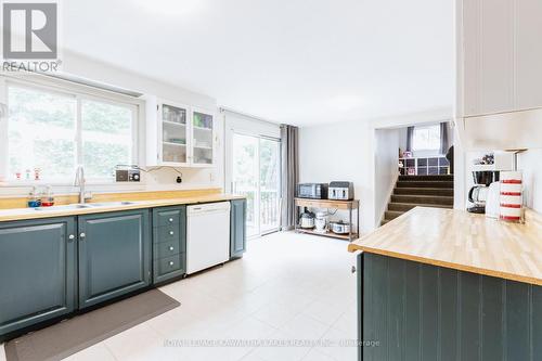 17 Minonen Road, Georgina (Baldwin), ON - Indoor Photo Showing Kitchen With Double Sink