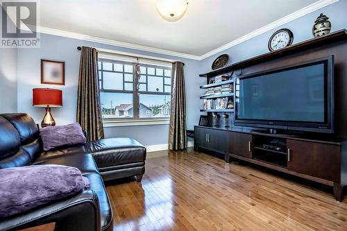 12 Drummond Place, Paradise, NL - Indoor Photo Showing Living Room