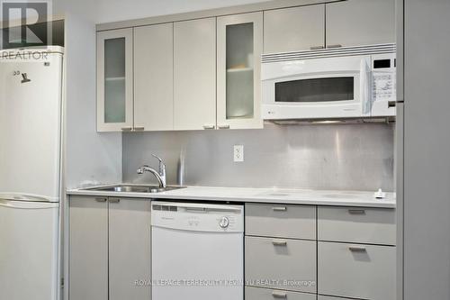 729 - 111 Elizabeth Street, Toronto (Bay Street Corridor), ON - Indoor Photo Showing Kitchen With Double Sink