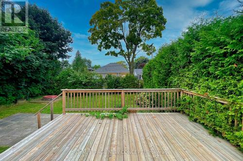 42 Sellmar Road, Toronto (Willowridge-Martingrove-Richview), ON - Outdoor With Deck Patio Veranda