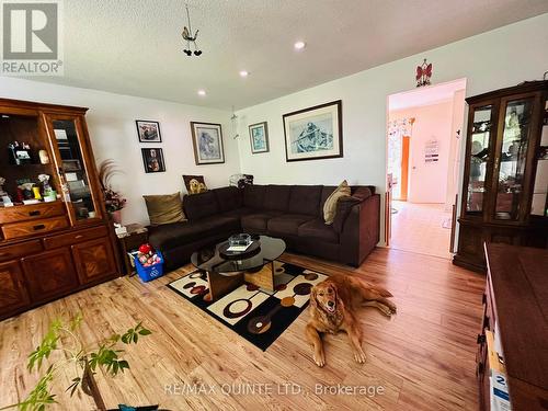 233 Ireton Street, Trent Hills (Campbellford), ON - Indoor Photo Showing Living Room