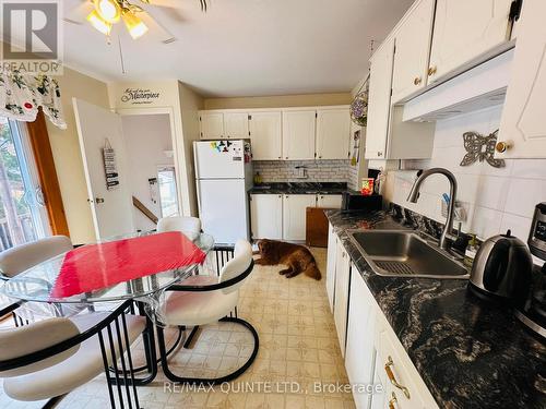 233 Ireton Street, Trent Hills (Campbellford), ON - Indoor Photo Showing Kitchen