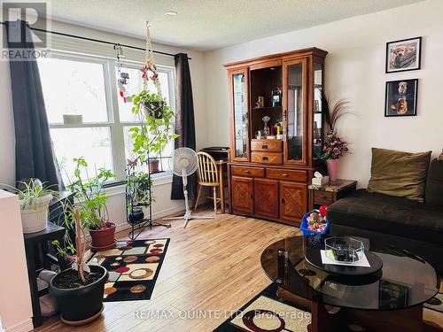 233 Ireton Street, Trent Hills (Campbellford), ON - Indoor Photo Showing Living Room