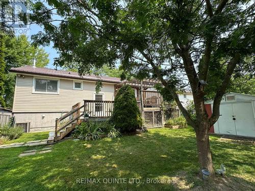 233 Ireton Street, Trent Hills (Campbellford), ON - Outdoor