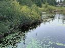 Waterfront - Ch. Du Lac-Des-Trois-Frères, Saint-Adolphe-D'Howard, QC 