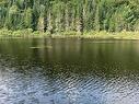 Vue sur l'eau - Ch. Du Lac-Des-Trois-Frères, Saint-Adolphe-D'Howard, QC 