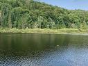 Vue sur l'eau - Ch. Du Lac-Des-Trois-Frères, Saint-Adolphe-D'Howard, QC 