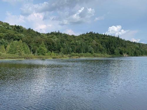 Bord de l'eau - Ch. Du Lac-Des-Trois-Frères, Saint-Adolphe-D'Howard, QC 