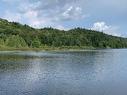 Waterfront - Ch. Du Lac-Des-Trois-Frères, Saint-Adolphe-D'Howard, QC 