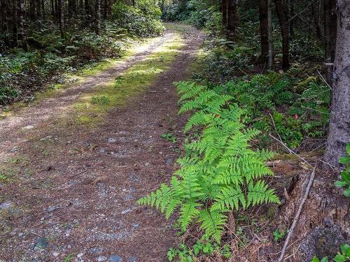 Lot 13 Longview Pl, Nanaimo, BC 