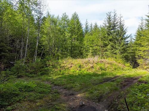 Lot 13 Longview Pl, Nanaimo, BC 