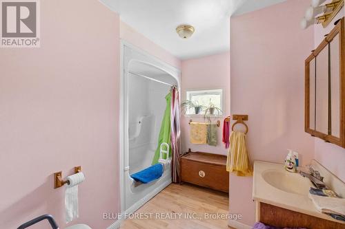 463 South Edgeware Road, St. Thomas, ON - Indoor Photo Showing Bathroom