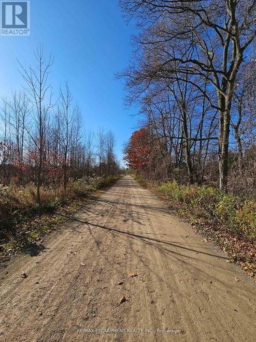 5127 Milburough Line, Burlington, ON - Outdoor With View