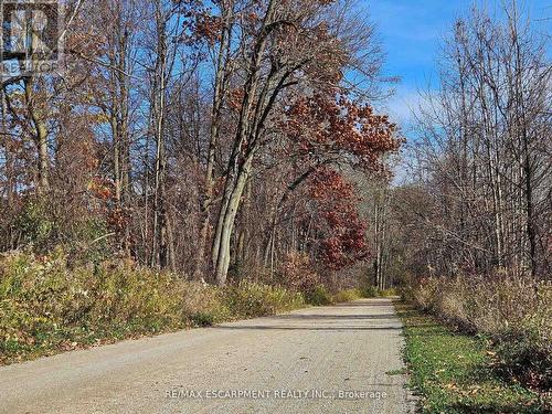 5127 Milburough Line, Burlington, ON - Outdoor With View