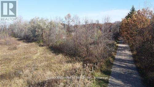 5127 Milburough Line, Burlington, ON - Outdoor With View