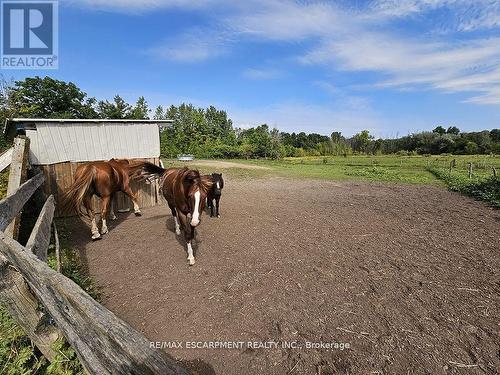 5127 Milburough Line, Burlington, ON - Outdoor With View