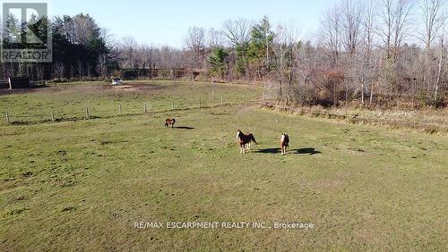 5127 Milburough Line, Burlington, ON - Outdoor With View