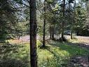 Land/Lot - Ch. Du Moulin, Saint-Adolphe-D'Howard, QC 