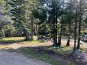 Land/Lot - Ch. Du Moulin, Saint-Adolphe-D'Howard, QC 