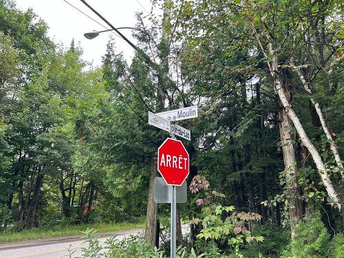 Street - Ch. Du Moulin, Saint-Adolphe-D'Howard, QC 