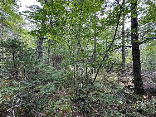 Lot 14 Forest Close, Labelle, NS 