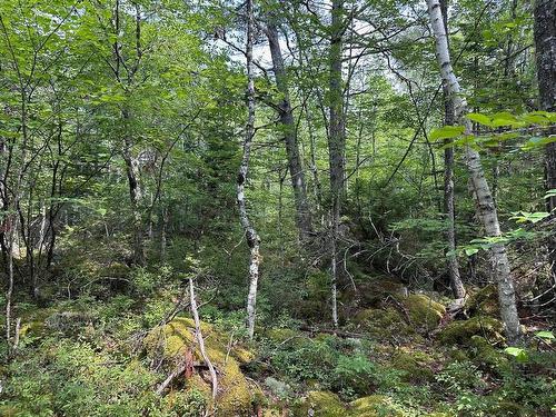 Lot 14 Forest Close, Labelle, NS 