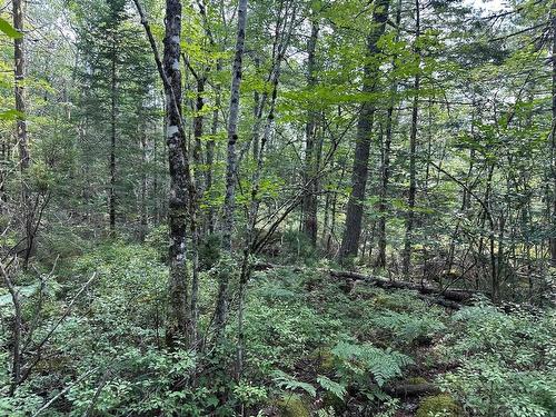 Lot 14 Forest Close, Labelle, NS 