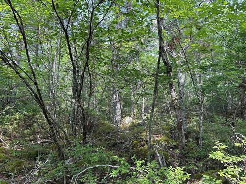 Lot 14 Forest Close, Labelle, NS 