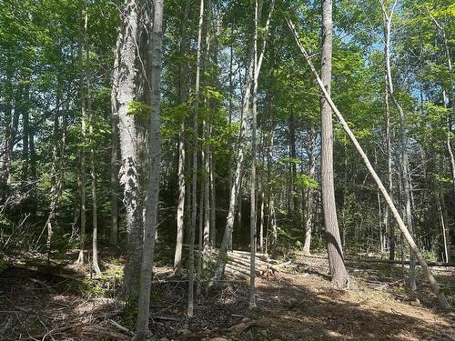 Lot #2 Highway 362, Victoria Vale, NS 