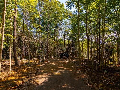 Lot #2 Highway 362, Victoria Vale, NS 