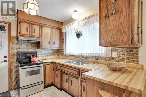 94 Harold Avenue, Kitchener, ON - Indoor Photo Showing Kitchen With Double Sink