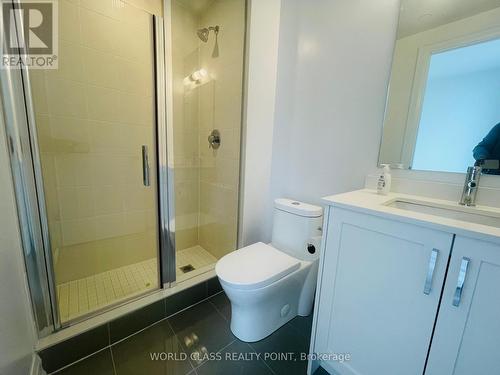 409 - 20 Gatineau Drive, Vaughan, ON - Indoor Photo Showing Bathroom