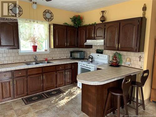 249 St-François Street, Edmundston, NB - Indoor Photo Showing Kitchen With Double Sink