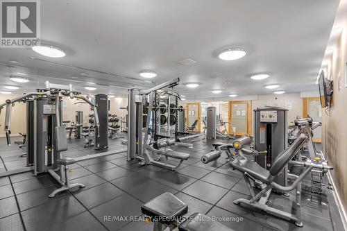 309 - 225 Webb Drive, Mississauga (City Centre), ON - Indoor Photo Showing Gym Room