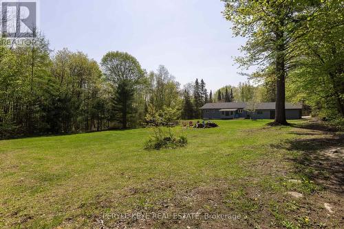 1322 Britannia Road, Huntsville, ON - Outdoor