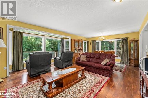 1753 Northshore Road, Algonquin Highlands, ON - Indoor Photo Showing Living Room