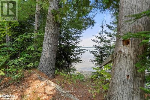 1753 Northshore Road, Algonquin Highlands, ON - Outdoor