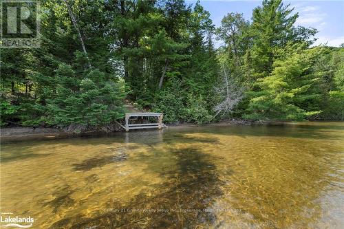 1753 Northshore Road, Algonquin Highlands, ON - Outdoor