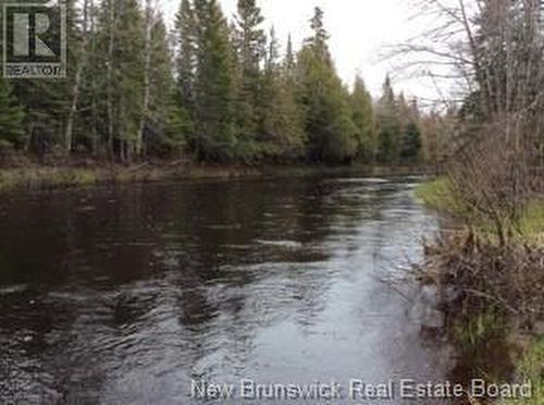 81.5 Acres Ch Collette East, Collette, NB 